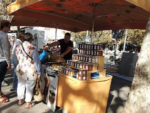 2024 11 02 EN FLANANT SUR SANARY (42)
